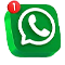 whatsapp icon